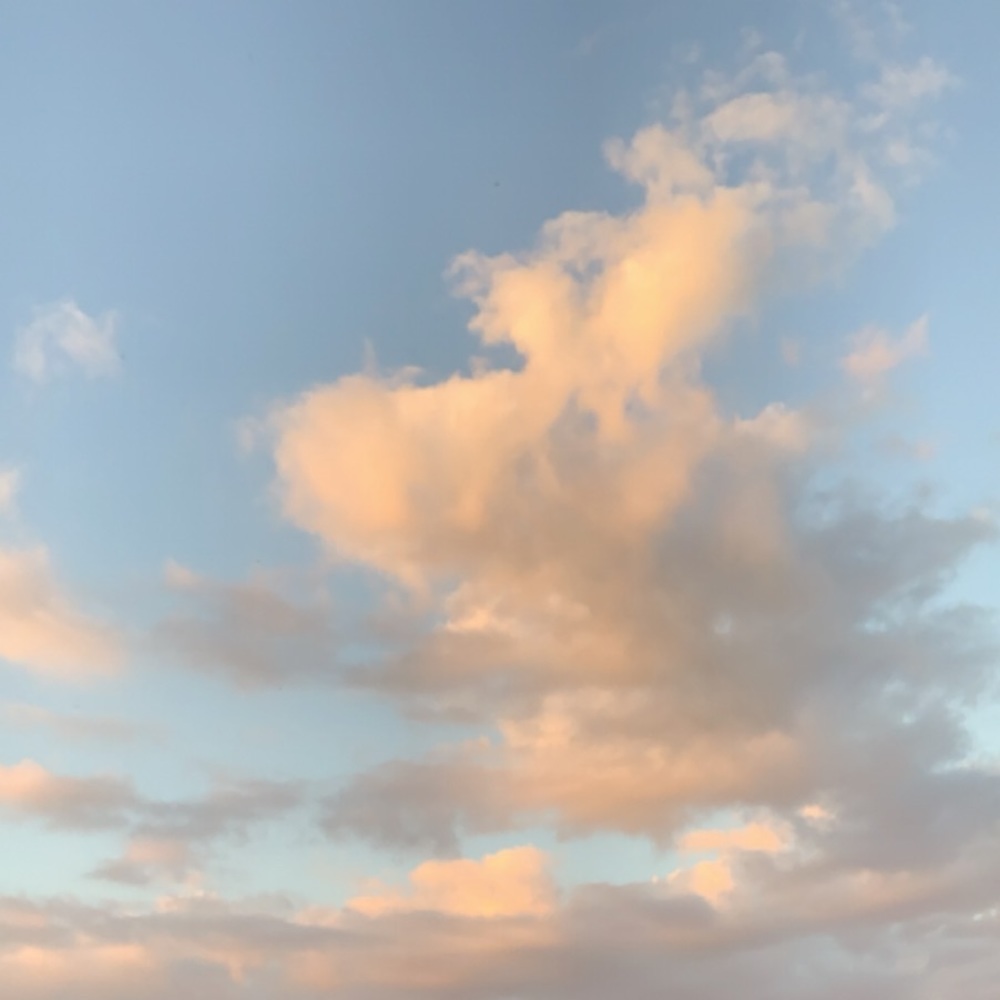 Meet your Posher, Braylon